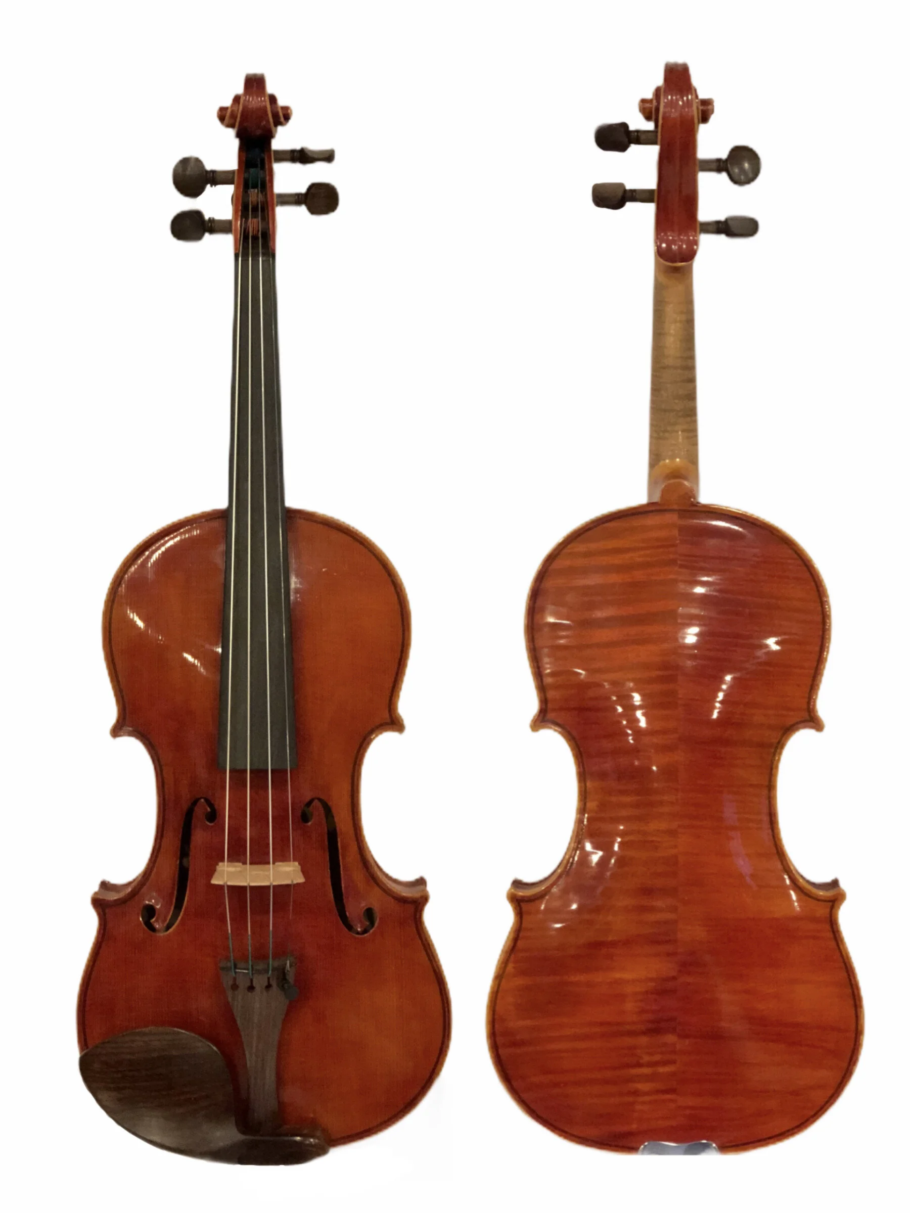 Violin Inventory — Terra Nova Violins